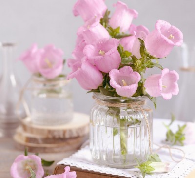 Bell Flower Pink  